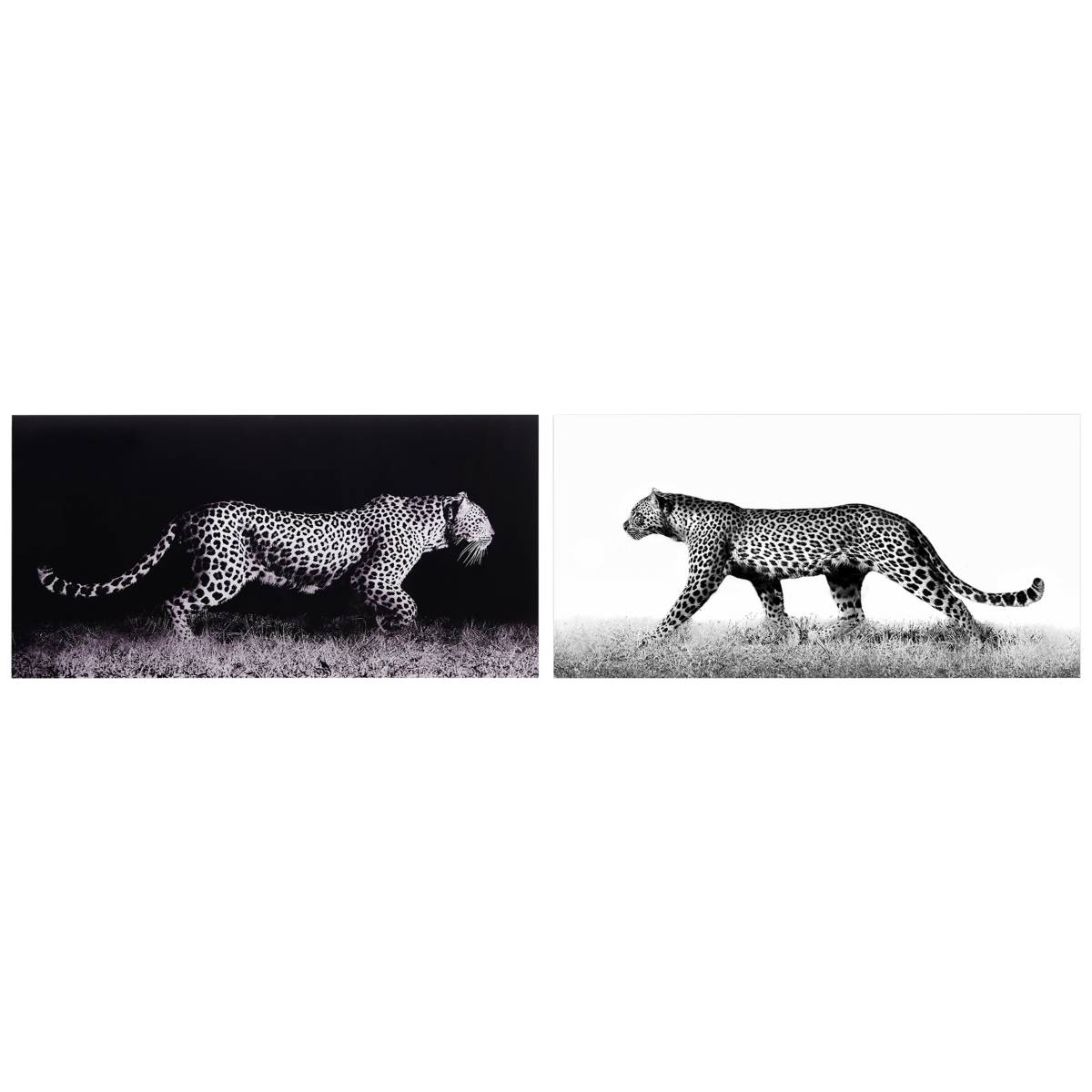 Multi-Color, Rectangular, Animals, 40 In. To 49 In. | Lamps Plus