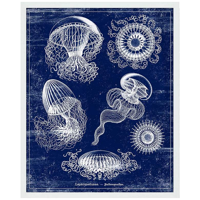 Image 1 Leptomedusae Jellyfish 21 inch High Coastal Giclee Wall Art