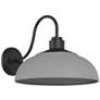 Levitt 13 5/8" Wide Outdoor Wall Light in Natural Black with Natural G