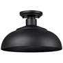 1_Levitt 13 3/4" Wide Natural Black Outdoor Ceiling Light