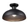 3_Levitt 13 3/4" Wide Natural Black Outdoor Ceiling Light more views