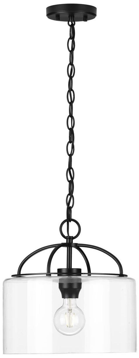 Image 5 Leyden Collection One-Light Clear Glass Hanging Pendant Light more views