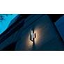 Thumbnail2 of Liam 18" High Painted Nickel LED Outdoor Sconce more views