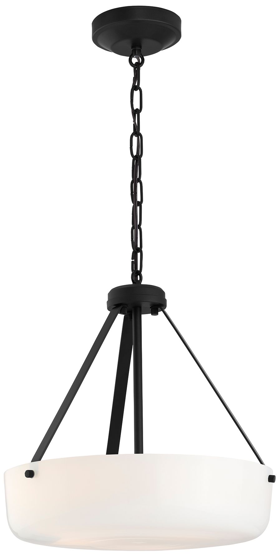 Image 3 Lieon Three-Light Convertible Pendant more views