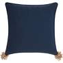 Life Styles Natural Blue Knotted Burst 20" Square Pillow