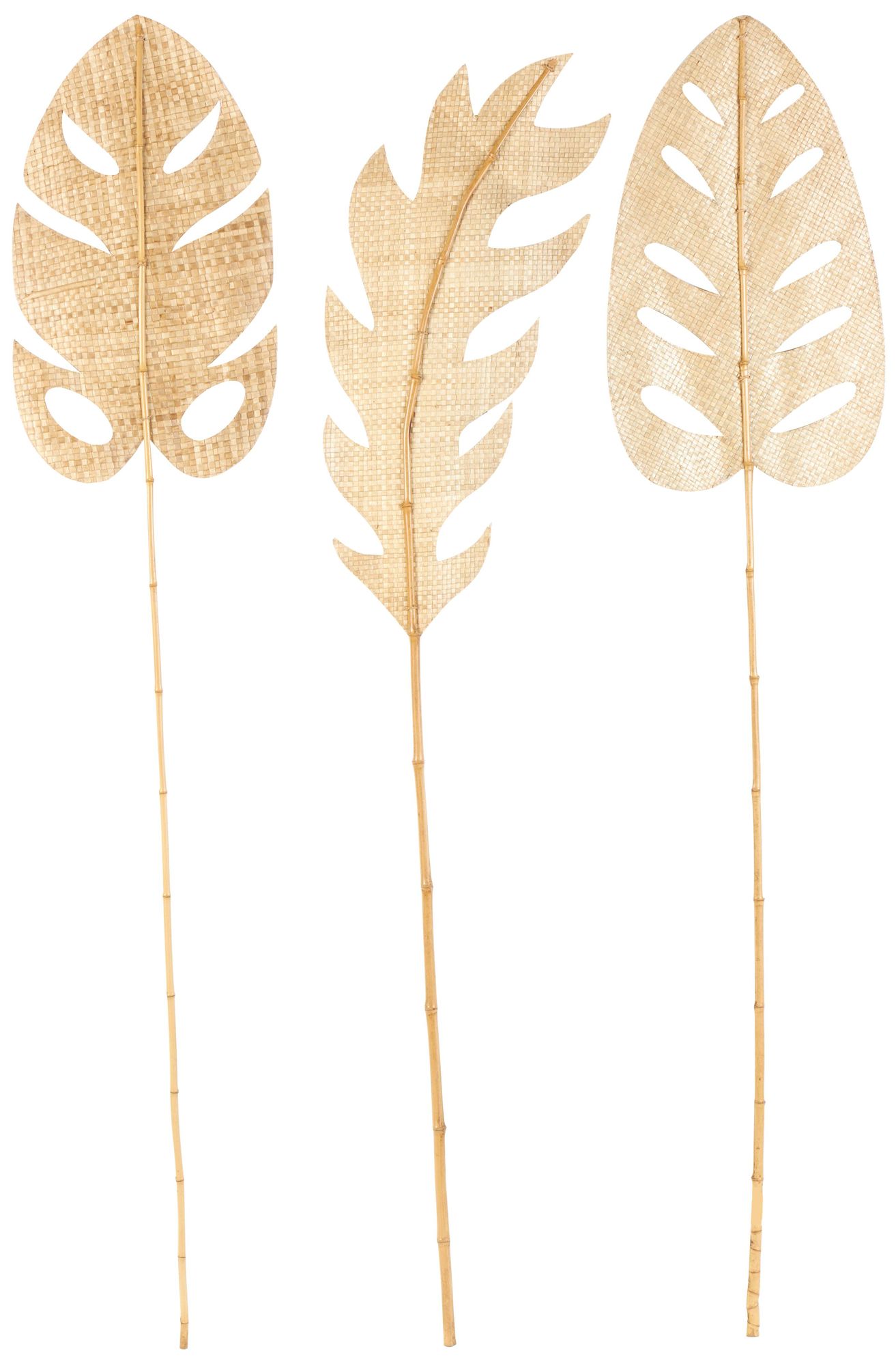 Image 2 Light Brown Bamboo Wood Natural Natural Foliage, S/3 16"W, 79"H