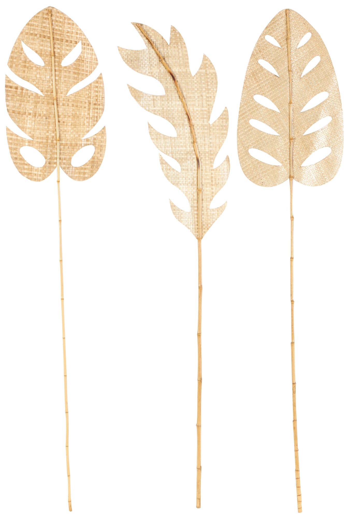 Image 5 Light Brown Bamboo Wood Natural Natural Foliage, S/3 16"W, 79"H more views