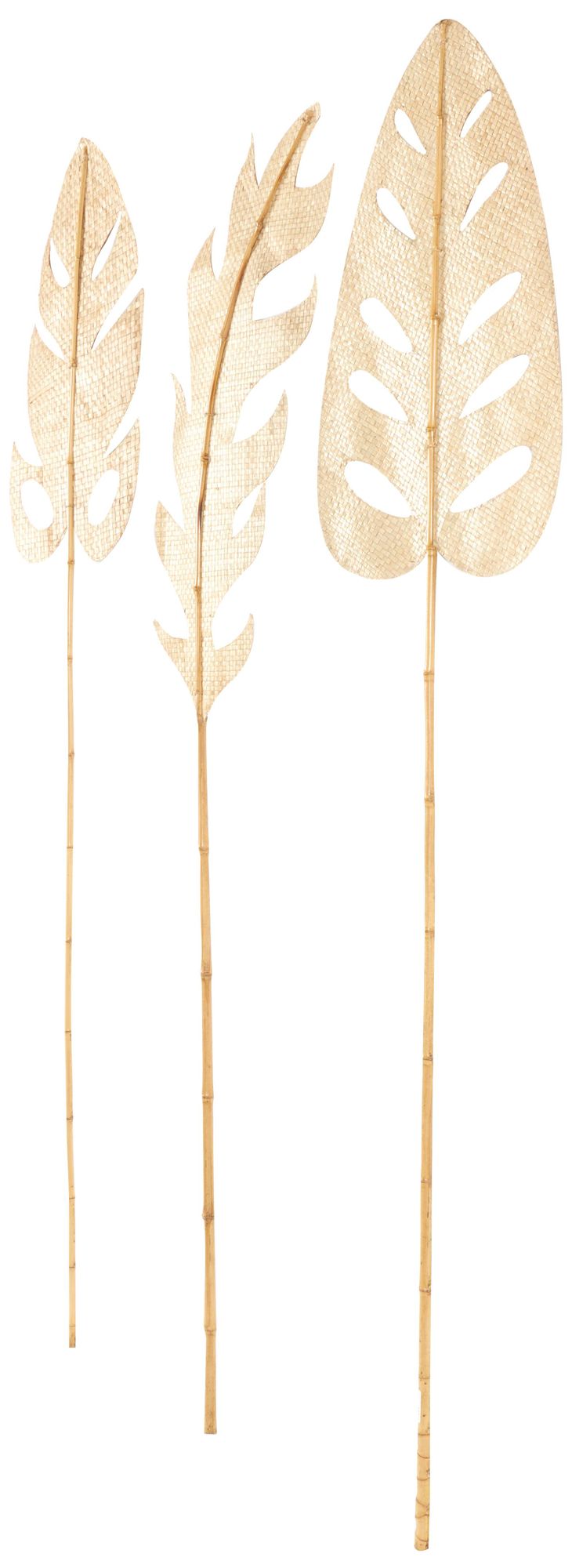 Image 6 Light Brown Bamboo Wood Natural Natural Foliage, S/3 16"W, 79"H more views