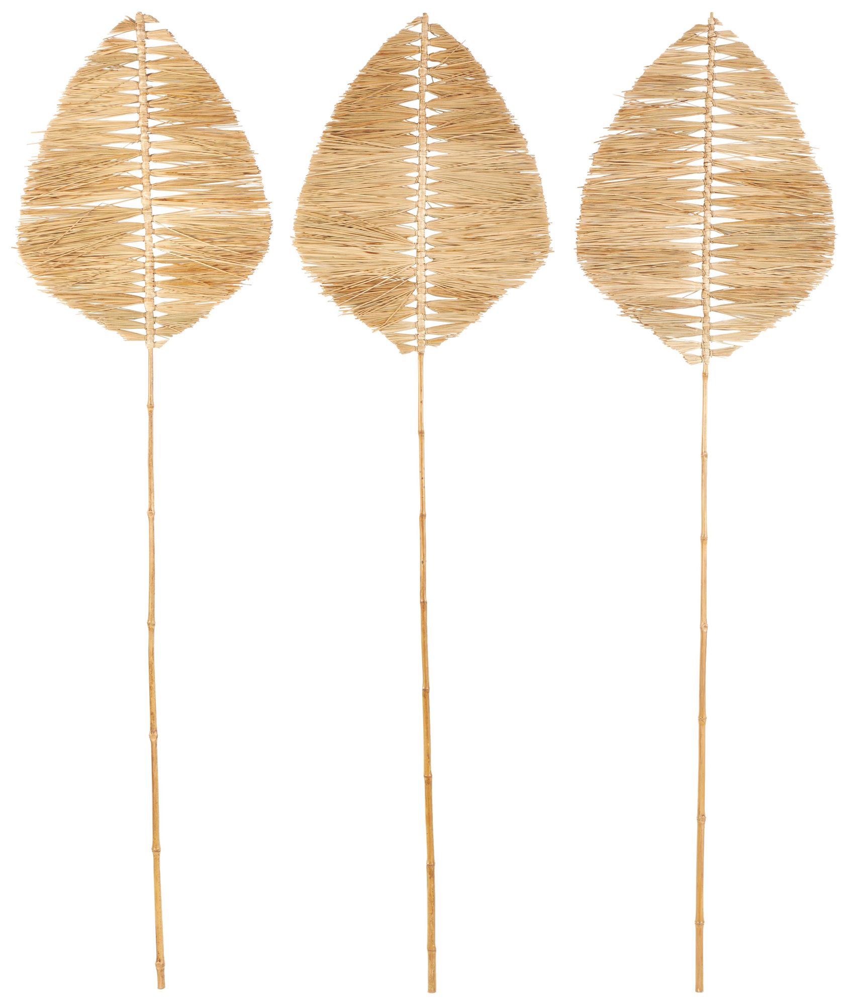 Image 5 Light Brown Bamboo Wood Natural Natural Foliage, S/3 21"W, 79"H more views