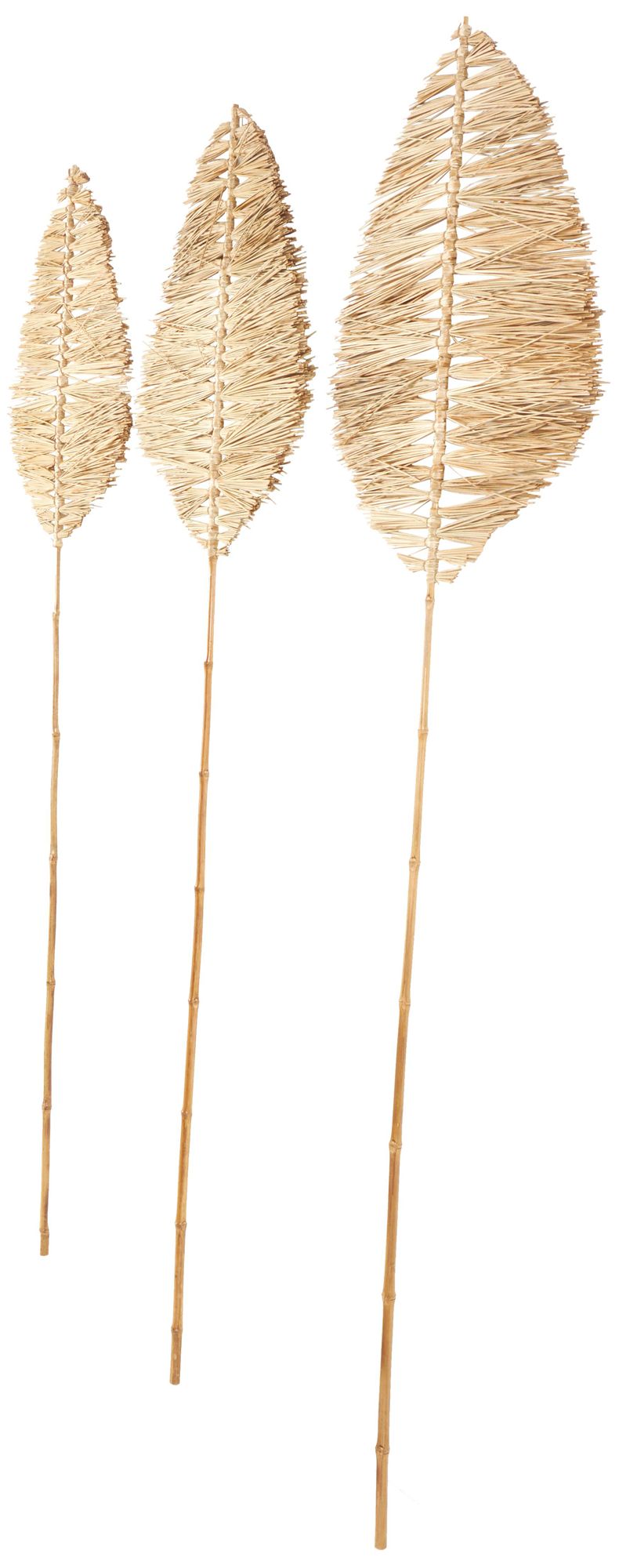 Image 6 Light Brown Bamboo Wood Natural Natural Foliage, S/3 21"W, 79"H more views