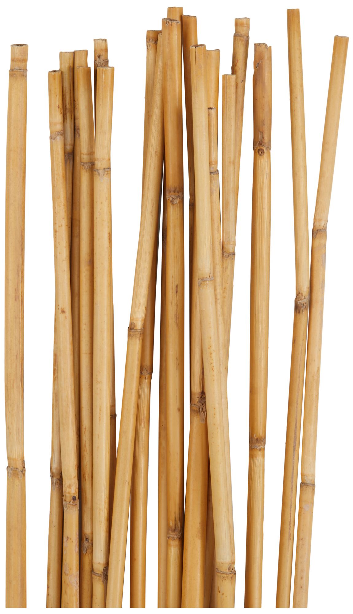 Image 3 Light Brown Bamboo Wood Traditional Natural Foliage, S/20 5"W, 58"H more views