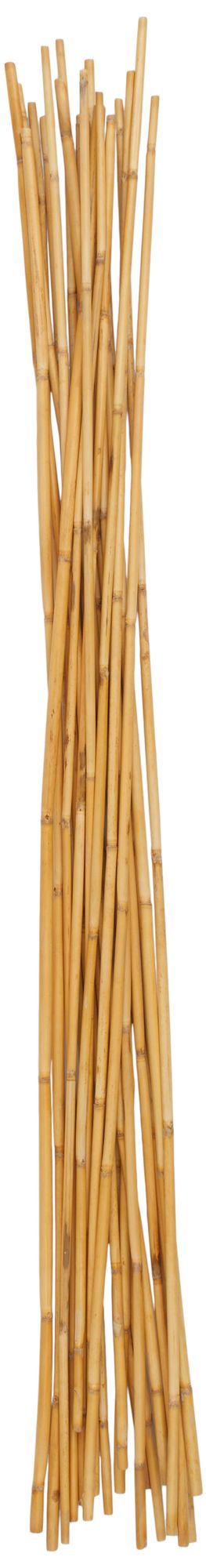 Image 5 Light Brown Bamboo Wood Traditional Natural Foliage, S/20 5"W, 58"H more views