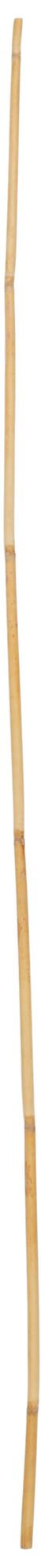 Image 6 Light Brown Bamboo Wood Traditional Natural Foliage, S/20 5"W, 58"H more views