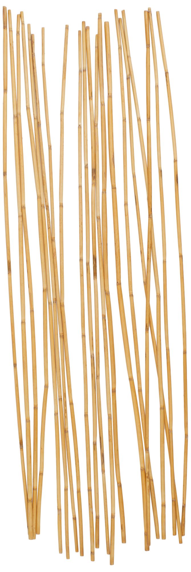 Light Brown Bamboo Wood Traditional Natural Foliage, S/20 5"W, 58"H