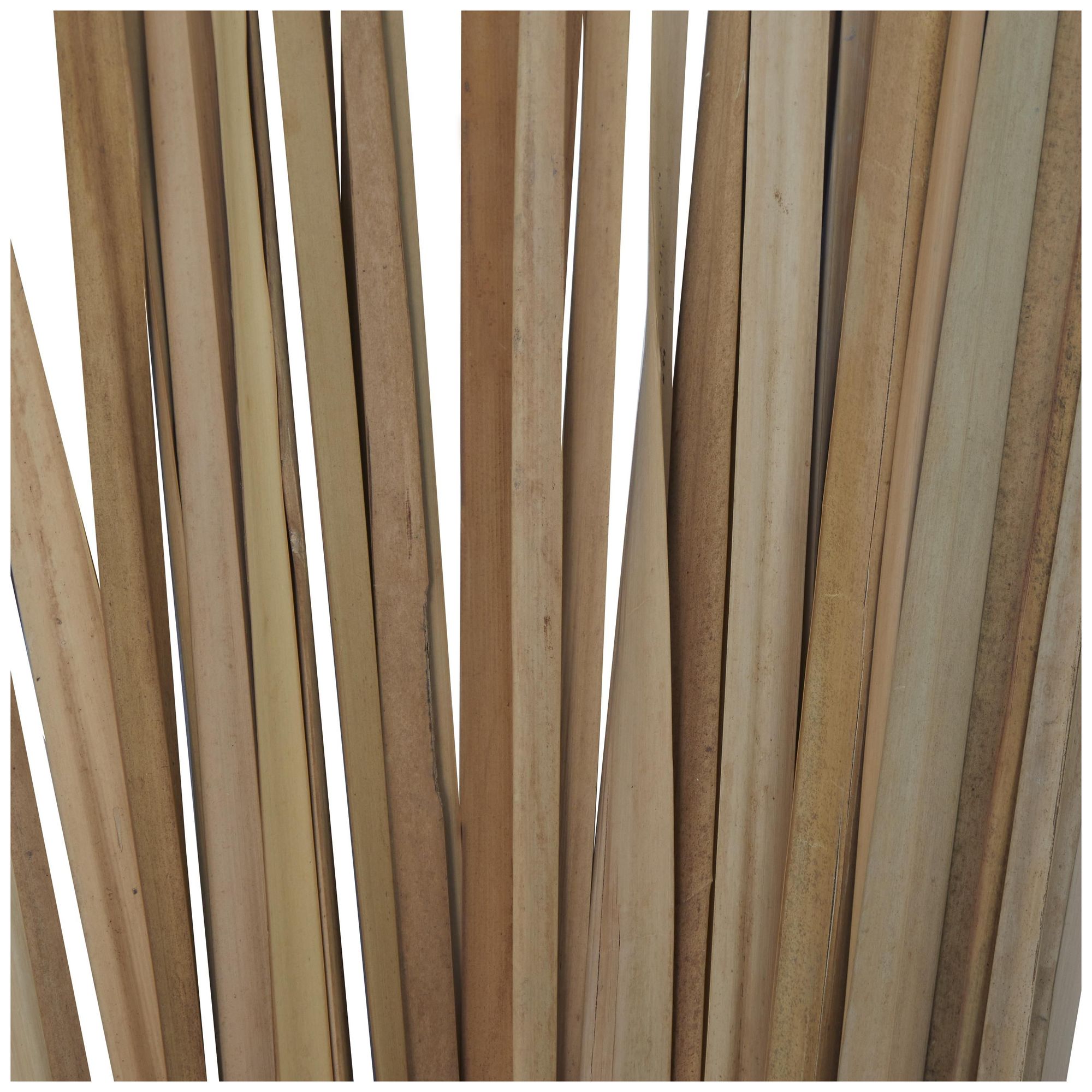 Image 2 Light Brown Dried Plant Natural Natural Foliage, 3" x 3" x 40" more views