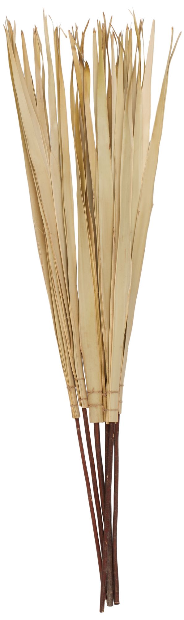Image 5 Light Brown Palm Leaf Modern Natural Foliage, 5" x 5" x 58" more views