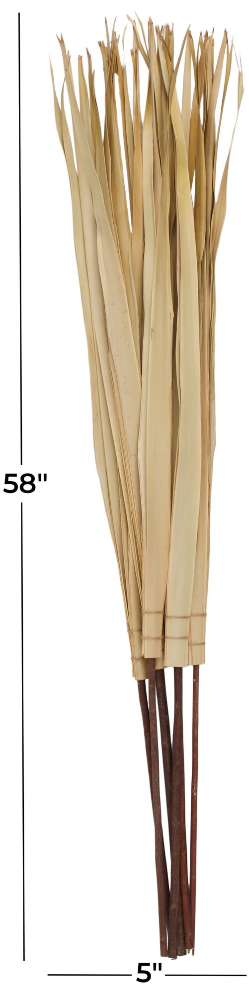 Image 7 Light Brown Palm Leaf Modern Natural Foliage, 5" x 5" x 58" more views