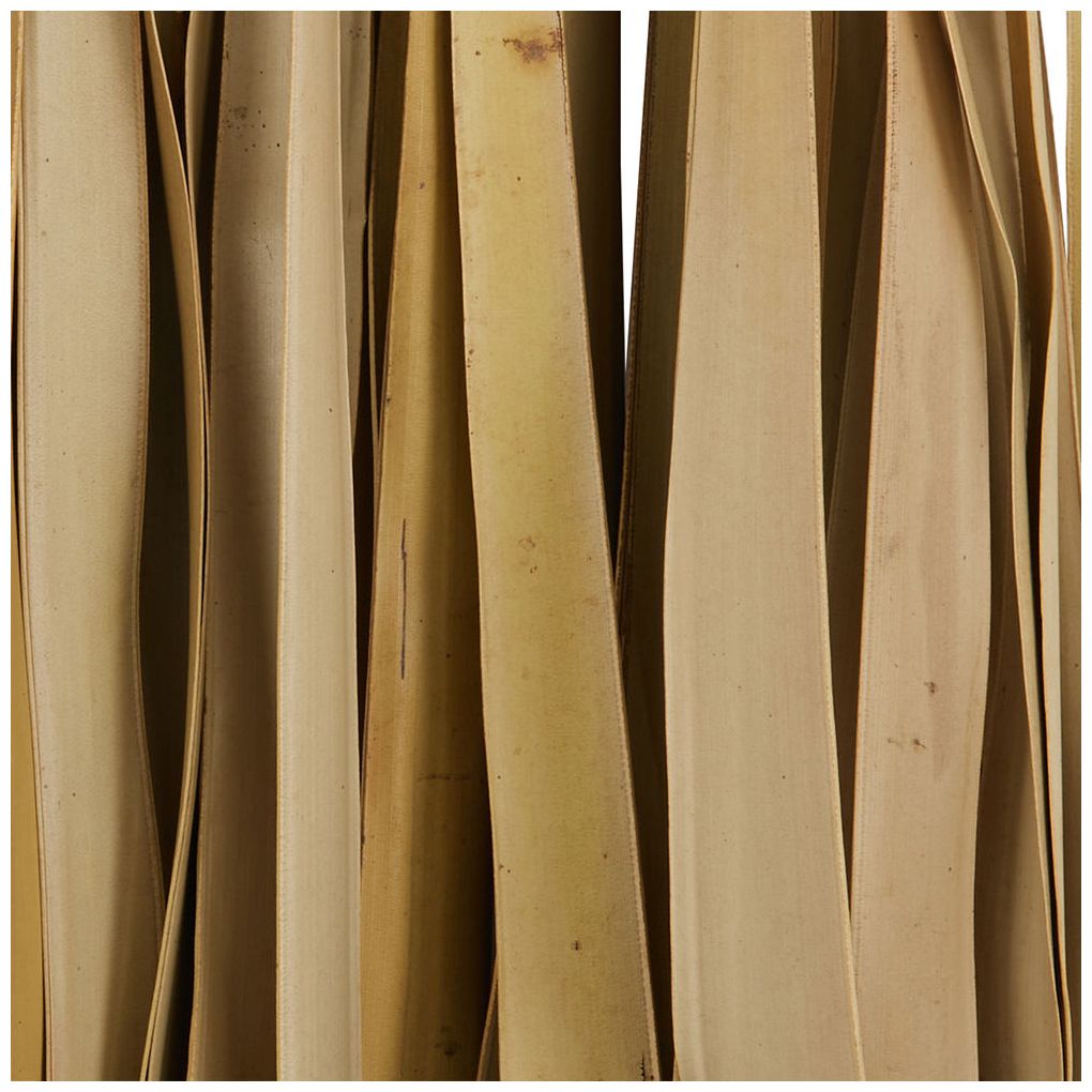 Light Brown Palm Leaf Modern Natural Foliage, 5" x 5" x 58"