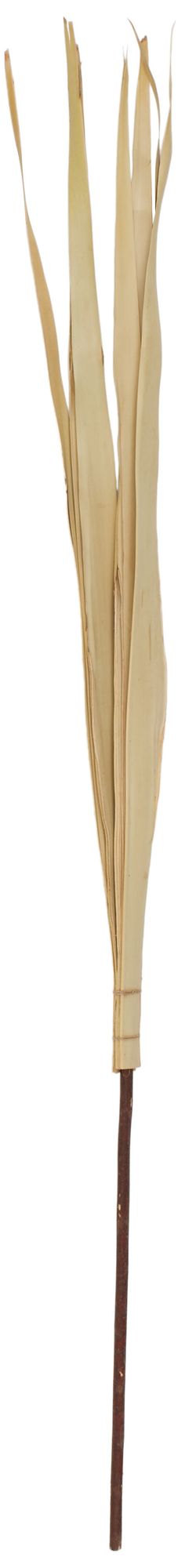 Light Brown Palm Leaf Modern Natural Foliage, 5" x 5" x 58"