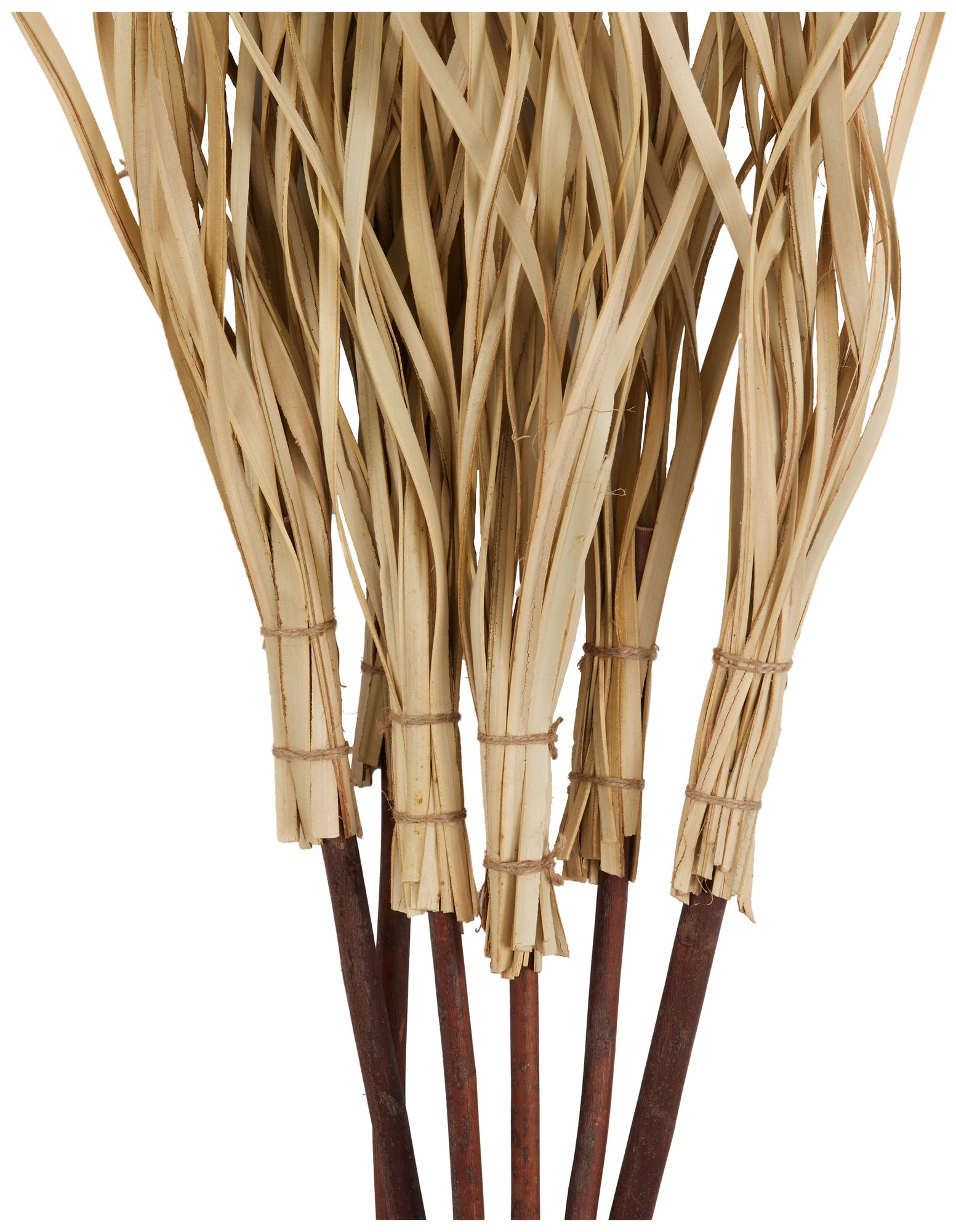 Image 2 Light Brown Palm Leaf Modern Natural Foliage, 50" x 5" x 62" more views