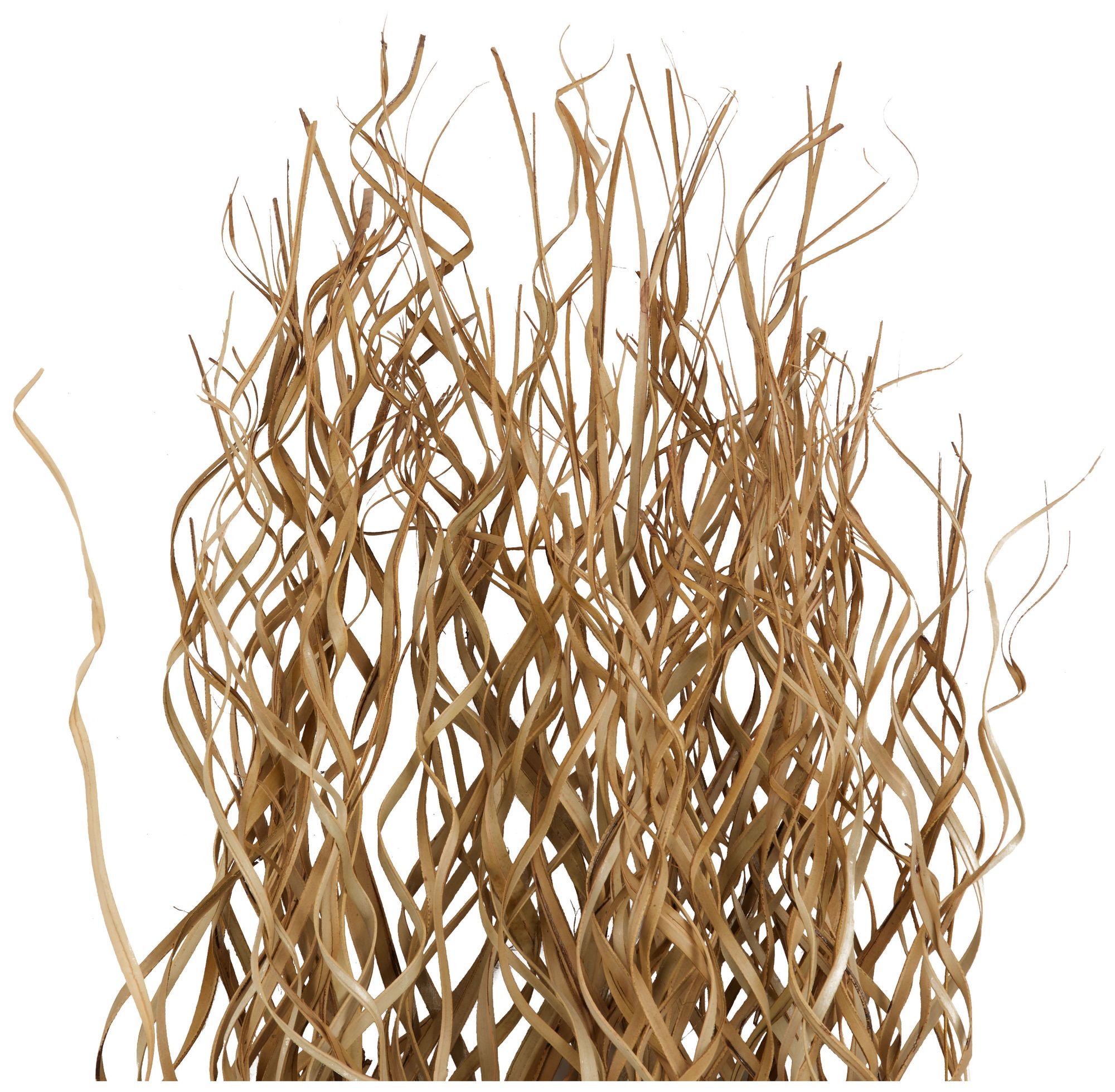 Image 3 Light Brown Palm Leaf Modern Natural Foliage, 50" x 5" x 62" more views