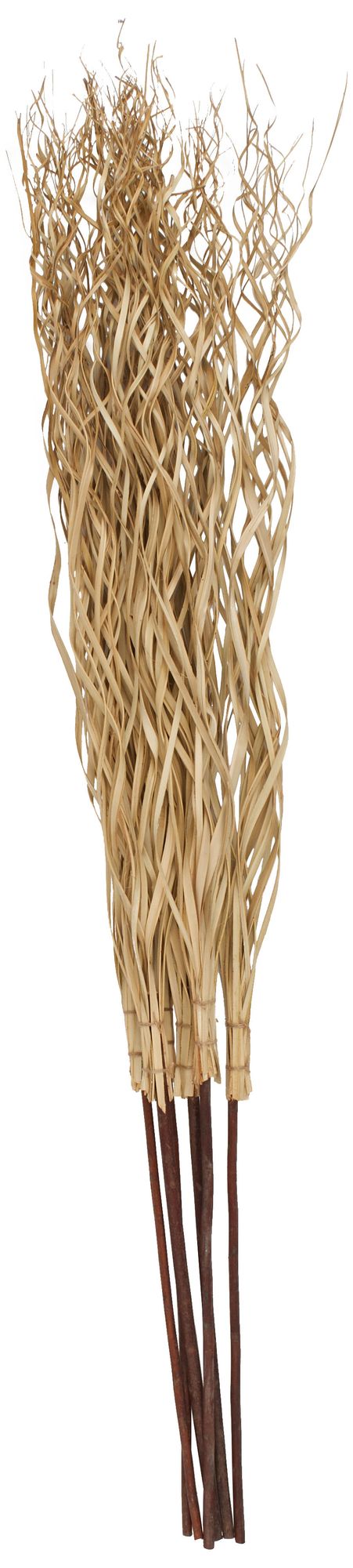 Image 5 Light Brown Palm Leaf Modern Natural Foliage, 50" x 5" x 62" more views
