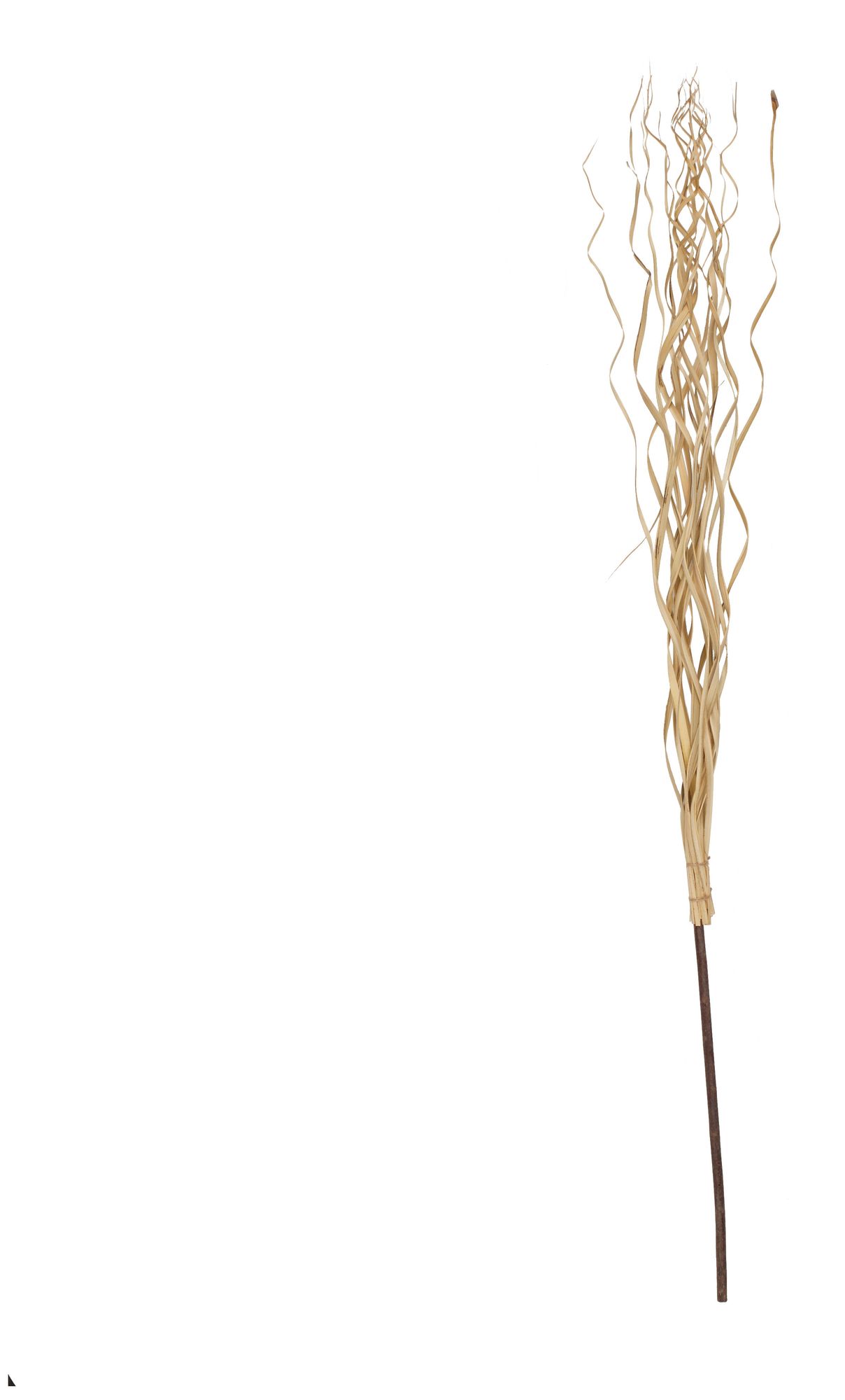 Image 6 Light Brown Palm Leaf Modern Natural Foliage, 50" x 5" x 62" more views