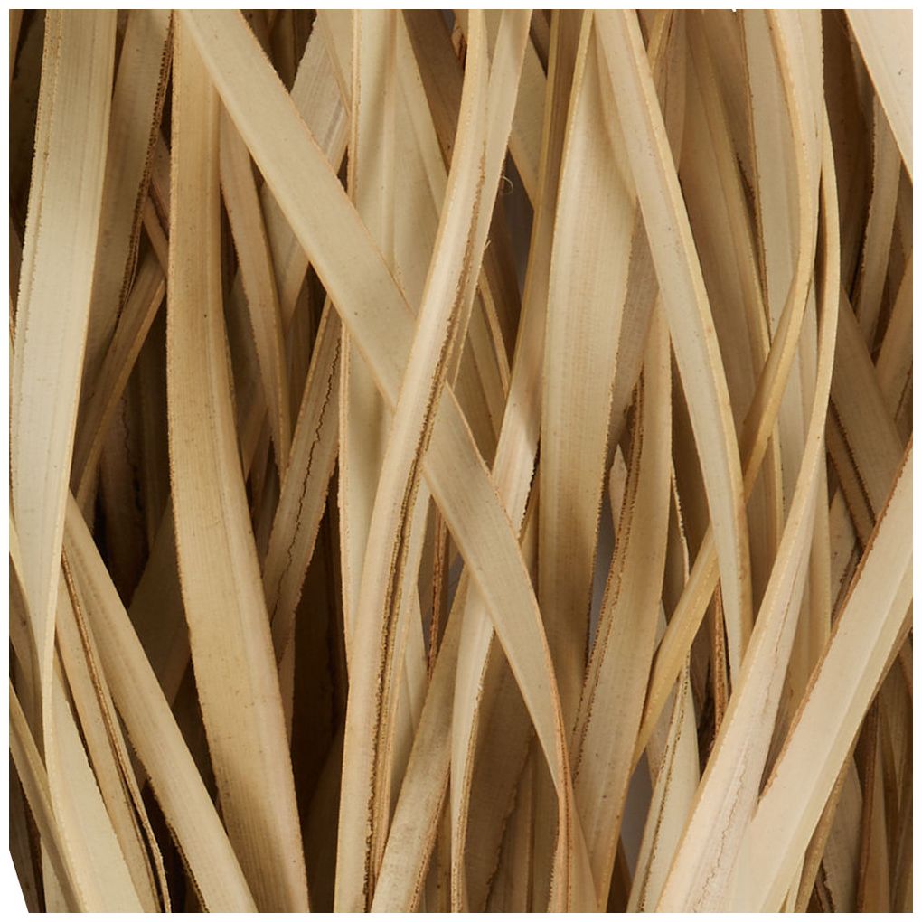Light Brown Palm Leaf Modern Natural Foliage, 50" x 5" x 62"