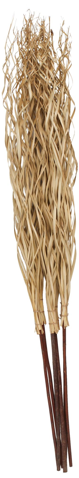 Light Brown Palm Leaf Modern Natural Foliage, 50" x 5" x 62"