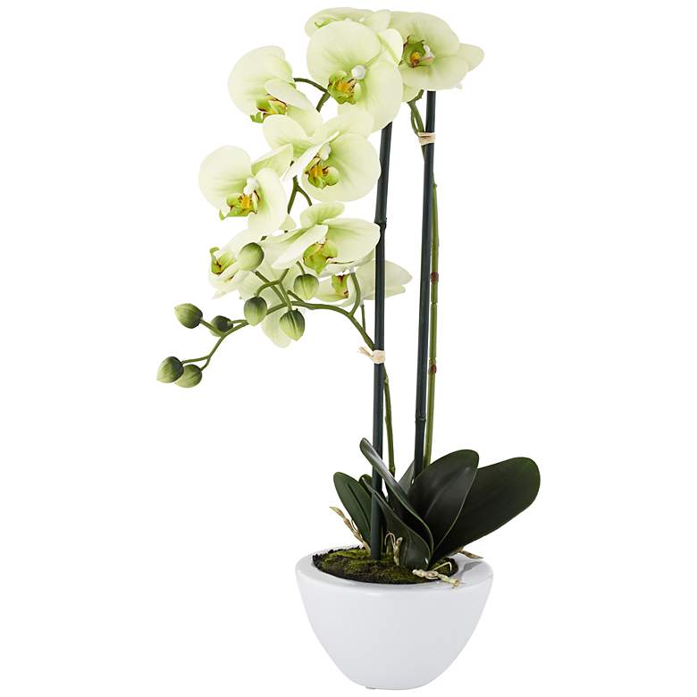 Image 1 Light Green Phalaenopsis Faux Orchid in White Ceramic Pot