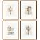 Light Posts 17"W x 20"H Framed Art Set of 4