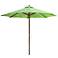 Lime Green Market Umbrella with Wooden Pole