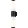 1_Lindale 18 1/2" High Black 2-Light Vanity Wall Sconce