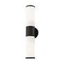 4_Lindale 18 1/2" High Black 2-Light Vanity Wall Sconce more views