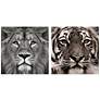2_Lion and Tiger 76" Wide Floating 2-Piece Glass Wall Art Set