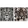 Lion and Tiger 76" Wide Floating 2-Piece Glass Wall Art Set