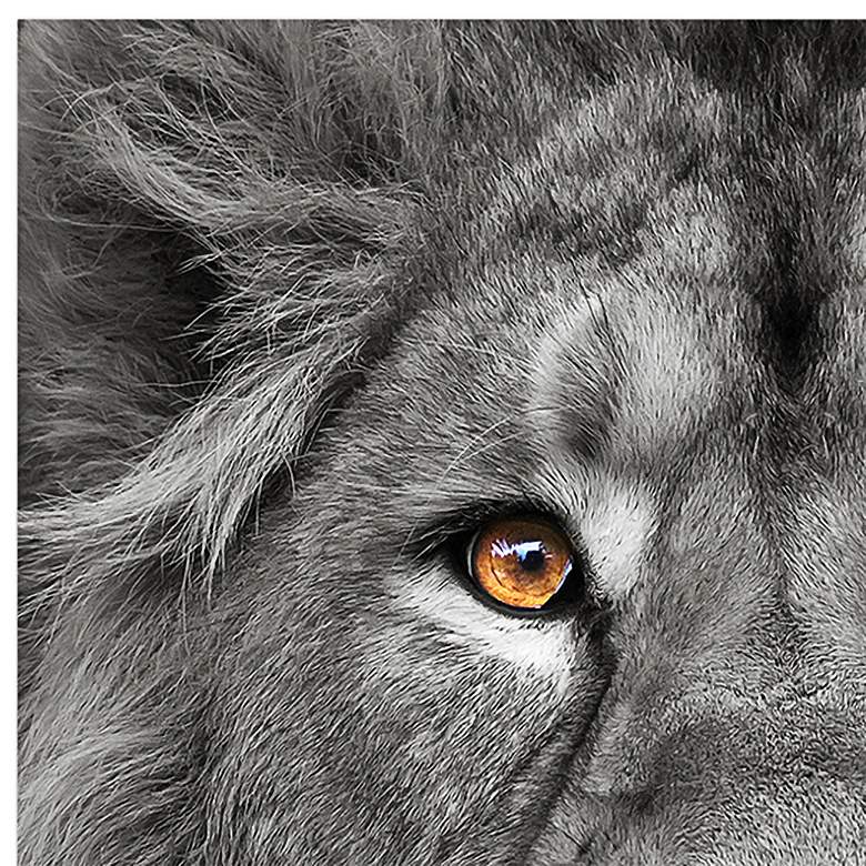 Image 3 Lion and Tiger 76" Wide Floating 2-Piece Glass Wall Art Set more views