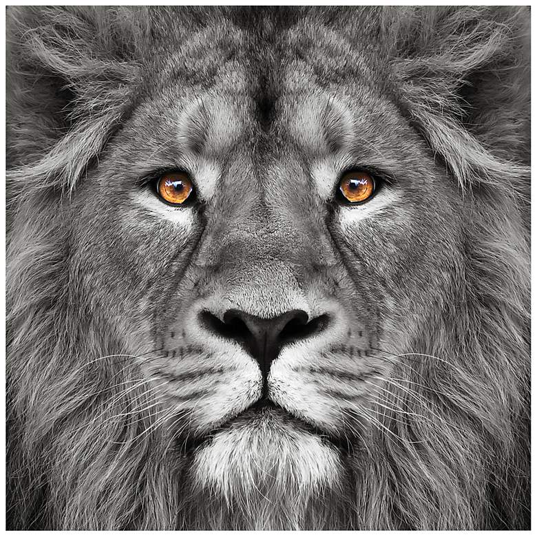Image 4 Lion and Tiger 76" Wide Floating 2-Piece Glass Wall Art Set more views