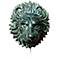 Lion Head 14" High Brass Medallion Wall Fountain