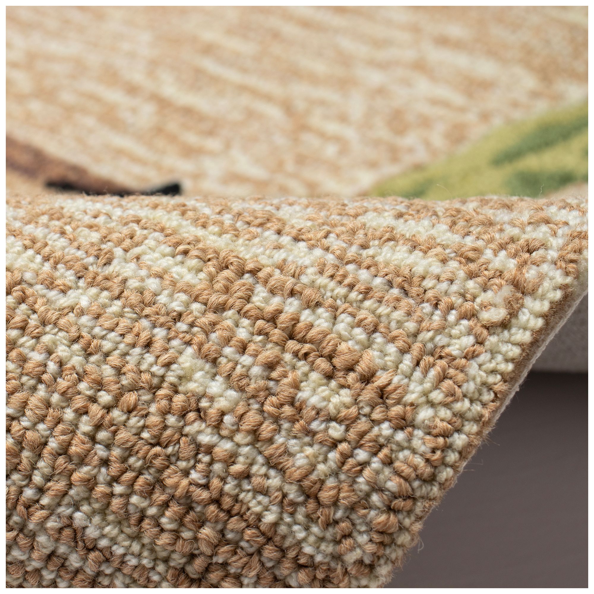 Liora Manne Frontporch Birds Indoor/Outdoor Mat Neutral 2'6"x4'