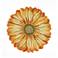 Liora Manne Frontporch Sunflower