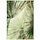 Liora Manne Marina Palm Fan Indoor/Outdoor Rug Green