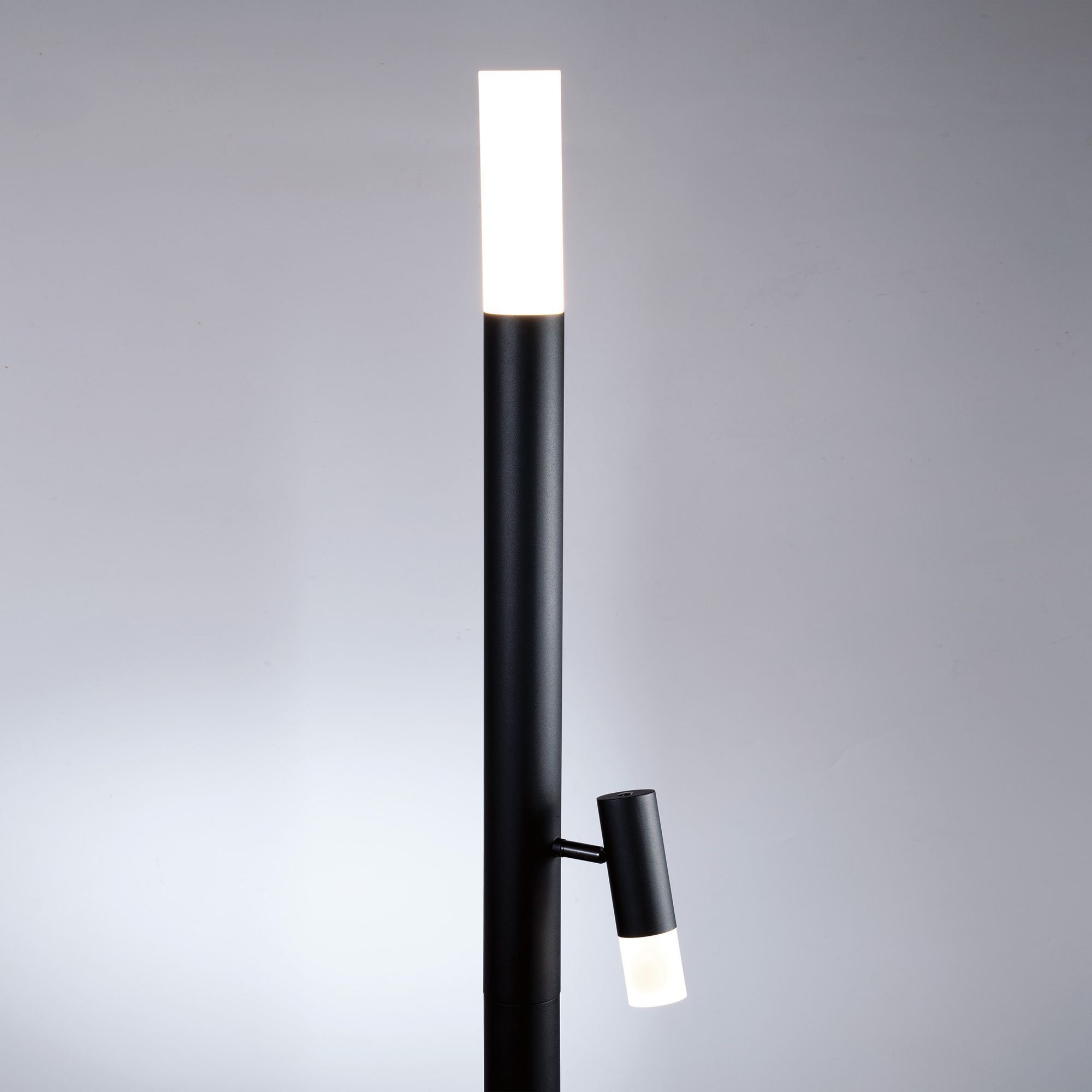 Image 3 Lite Source Black Felinus Floor Lamp more views