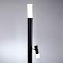 3_Lite Source Black Felinus Floor Lamp more views