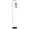 Lite Source Chante 57 1/2" Modern Smoked Glass LED Floor Lamp