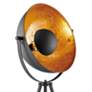 Lite Source Gothard Black and Gold Adjustable Spotlight Tripod Floor Lamp