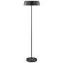2_Lite Source Hakan 60 1/4 High Modern Black Floor Lamp