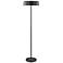 Lite Source Hakan 60 1/4 High Modern Black Floor Lamp