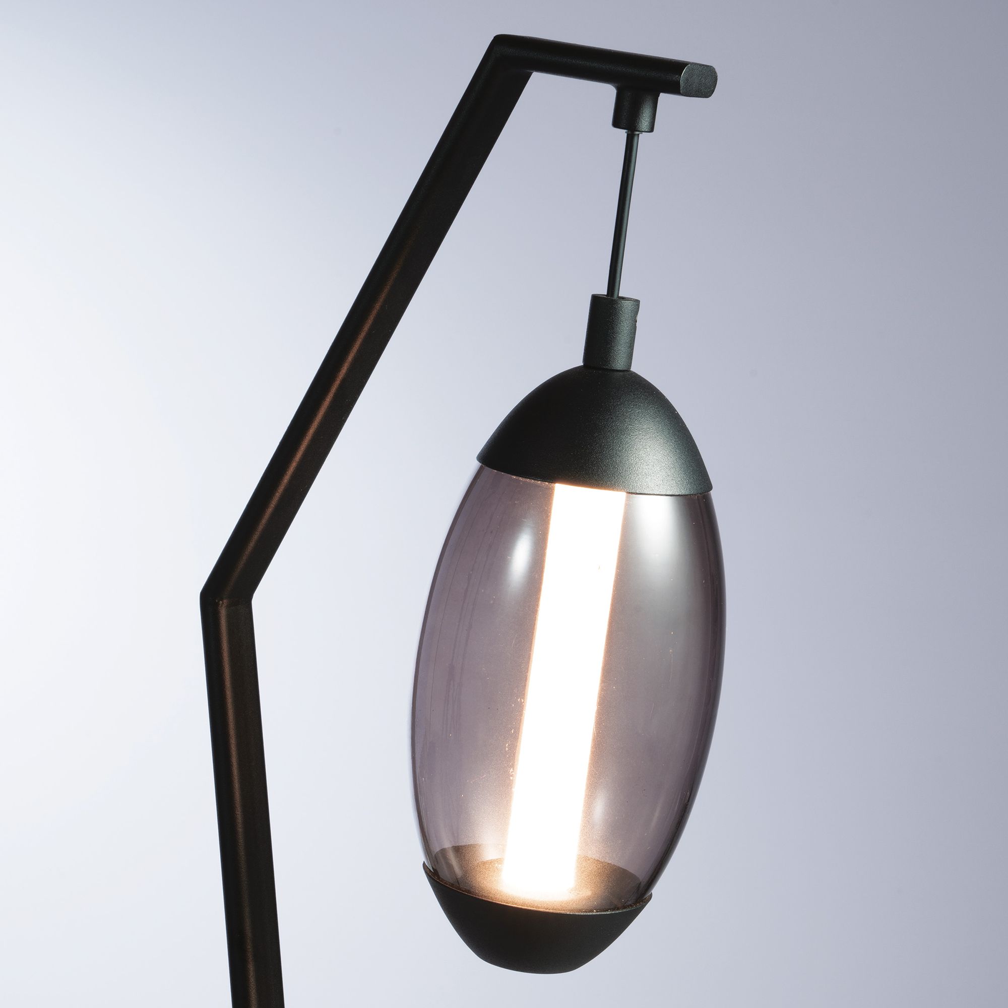 Image 4 Lite Source Palta 63" High Black Finish Angled Arm LED Floor Lamp more views