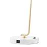Lite Source Roden 22 1/4" White and Antique Brass Modern USB Desk Lamp